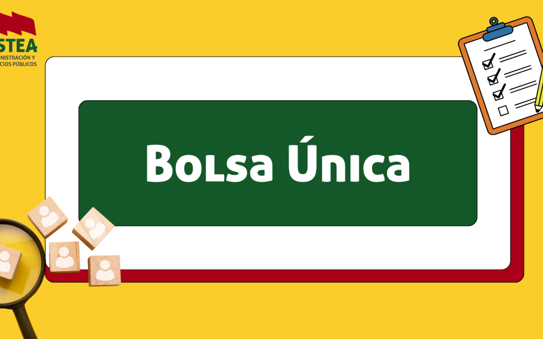 NUEVO REGLAMENTO DE FUNCIONAMIENTO DE LA BOLSA ÚNICA DEL PERSONAL LABORAL DE LA JUNTA DE ANDALUCÍA
